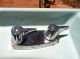 Antique Vtg Cast Iron Blue Barber Shampoo Sink Belvedere Bathroom Porcelain Plumbing photo 3