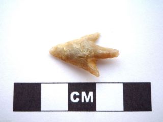 Neolithic Arrowhead 25mm,  Saharan Flint Artifact - 4000bc (h067) photo