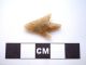 Neolithic Arrowhead 25mm,  Saharan Flint Artifact - 4000bc (h067) Neolithic & Paleolithic photo 1
