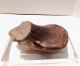 Pre Columbian Ecuador Pottery Head Fragment Polychrome 4 Inches Jamacoaque The Americas photo 9