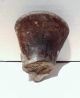 Pre Columbian Ecuador Pottery Head Fragment Polychrome 4 Inches Jamacoaque The Americas photo 8
