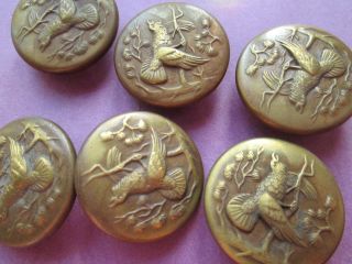 12 Pieces Antique,  Vintage Buttons From Iron - Brass From 30 - 50tis photo