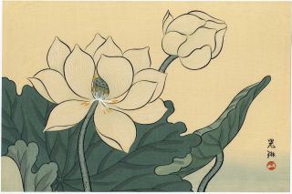 Korin Japanese Woodblock Print Lotus Flower Shima Art Co.  1930s photo