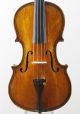 Antique Italian Valter Bisogno Anno 1909 Labeled 4/4 Old Master Violin String photo 2