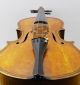 Antique Italian Valter Bisogno Anno 1909 Labeled 4/4 Old Master Violin String photo 5