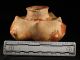 Pre - Columbian Nayarit Multi - Nippled Squash Jar W/coa - West Mexico - Aaca The Americas photo 2