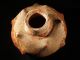 Pre - Columbian Nayarit Multi - Nippled Squash Jar W/coa - West Mexico - Aaca The Americas photo 6