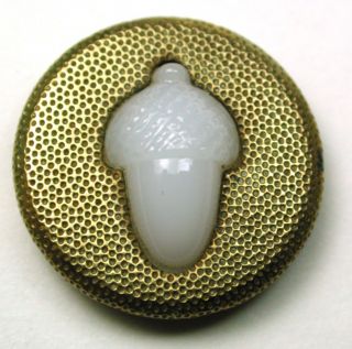 Antique Glass In Metal Button Acorn In Brass 9/16 