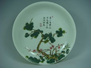 Chinese Famille Rose Porcelain Plate photo