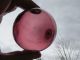 (1204) 3.  10 Inch Diameter Japanese Curio Glass Float Ball Buoy Fishing Nets & Floats photo 2