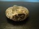 Unusual 19th C.  Antique Chinese Puddingstone Snuff Bottle Snuff Bottles photo 5