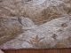 Antique Asian Hand Embroidered Beige Silk Wall Hanging Panel Textile Bird Theme Robes & Textiles photo 5