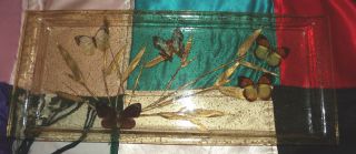 Bilmar Plastics Lucite 5 Butterfly Tray 18 