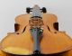 Infrequent Antique Czech - Mathias Heinicke Anno 1932 Labeled Old Master Violin String photo 4