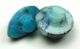 2 Antique Leo Popper Glass Buttons Turquoise Tear Drop & Round Peg Shank Buttons photo 1