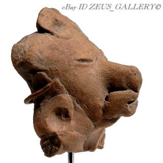 Pre Columbian Pottery Male Chief Dignitary Head Veracruz 600 Ad photo