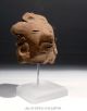Pre Columbian Pottery Male Chief Dignitary Head Veracruz 600 Ad The Americas photo 3