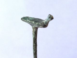 Celtic Zoomorphic Pin British Found photo