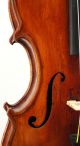 Gorgeous Antique American Violin,  One - Piece Bird ' S Eye Back - String photo 9