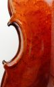 Gorgeous Antique American Violin,  One - Piece Bird ' S Eye Back - String photo 11