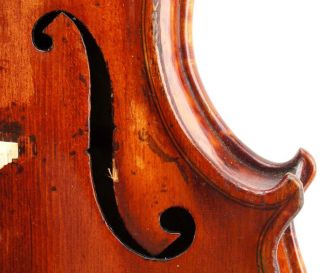 Gorgeous Antique American Violin,  One - Piece Bird ' S Eye Back - photo