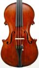 Gorgeous Antique American Violin,  One - Piece Bird ' S Eye Back - String photo 1