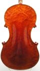 Gorgeous Antique American Violin,  One - Piece Bird ' S Eye Back - String photo 2
