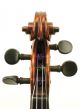 Gorgeous Antique American Violin,  One - Piece Bird ' S Eye Back - String photo 5