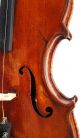 Gorgeous Antique American Violin,  One - Piece Bird ' S Eye Back - String photo 8