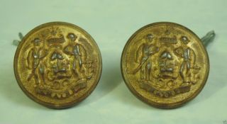 Antique State Of Maine Militia Uniform Buttons Gilt Brass Of 2 Waterbury Ct photo