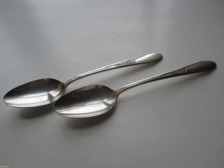 Two Serving Spoons Silver Plate Rogers International Gardenia 1941 Pattern photo