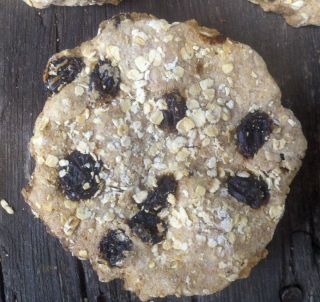 Primitive Handmade Pantry Fake Food Oatmeal Rasin Cookie Bowl Filler Ornies photo