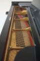 Steinway And Sons,  Antique Grand Piano,  Large,  Model 