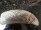 Scrimshaw Sperm Whale ' S Tooth Replica Whaling Ship Romulus I Scrimshaws photo 2