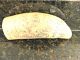 Scrimshaw Sperm Whale ' S Tooth Replica Whaling Ship Romulus I Scrimshaws photo 5