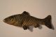 Antique Austrian Bronze Fish Paperweight Cold Painted Marked Geschutzt Metalware photo 1