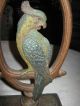 Antique Huge Bradley & Hubbard Parrot Bird Art Statue Cast Iron Doorstop B&h 15 Metalware photo 4