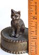 Rrrrrrr. . . .  Authentic Antique Bronze Animalier Trinket Box - The Cat On The Lid Metalware photo 9