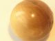 Antique Celluloid Ball Button Two Piece Buttons photo 2