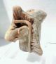Pre Columbian Ecuador Authentic Pottery Fragment Animal Or Shaman Head The Americas photo 3