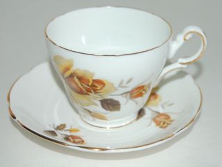 Regency English Bone China Fall Flowers Cup & Saucer Made In England photo