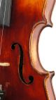 Gorgeous Antique German Violin,  Stradivarius Model,  Mint Condition Ready String photo 8