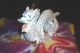 Vintage White Gold Porcelain Chinese Dragon Statue Made In China Dragons photo 1