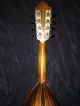 Antique Italian Mandolin Just Set Up In Excellent Playing Condition A Galiano String photo 11