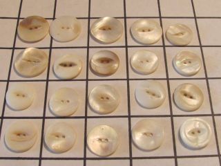 Antique Set 20 Assorted Button Pearl Sea Shell Imperfect Normal Carved Sew Thru photo