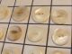 Antique Set 20 Assorted Button Pearl Sea Shell Imperfect Normal Carved Sew Thru Buttons photo 3