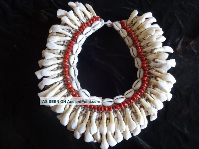 Buffalo Tooth Necklace Red Beeds Png New Guinea Style Fashion Ferdy Pacific Islands & Oceania photo