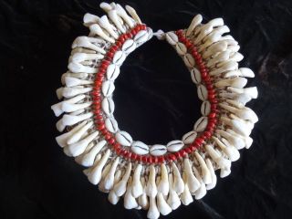 Buffalo Tooth Necklace Red Beeds Png New Guinea Style Fashion Ferdy photo
