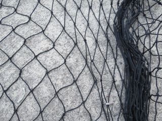 3 Feet X 5 Feet Black Salmon Alaskan Seine Net Fishing Fish Netting (n249) photo