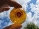 (1234) 2.  07 Inch Diameter Japanese Curio Glass Float Ball Buoy Fishing Nets & Floats photo 2